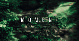 Moment 2025